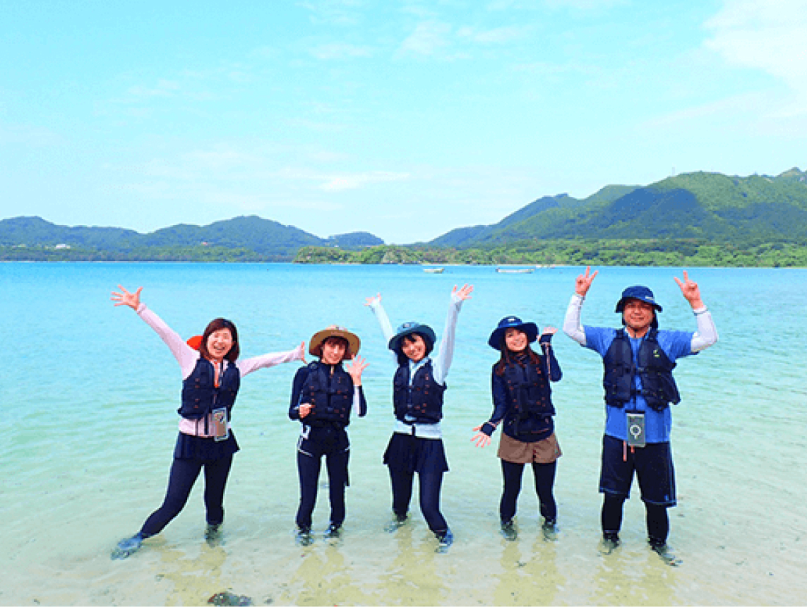 ボーナス・特典・イベント制度